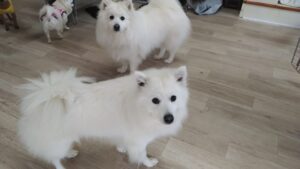 午前のお時間　2026/3/17