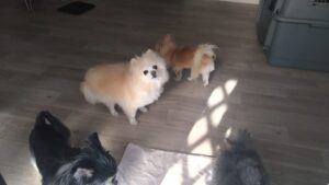 朝のお時間　2026/3/18