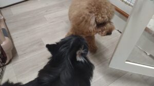 夜のお時間　2026/3/18