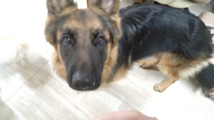 午前のお時間　2026/3/19