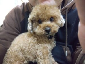 夜のお時間　2026/3/19