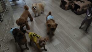 午前のお時間　2026/3/20