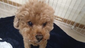 夜のお時間　2026/3/20