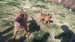 午前のお時間　2026/3/21