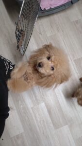 夜のお時間　2026/3/21