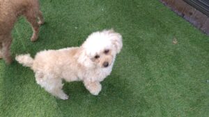 午前のお時間　2026/3/22