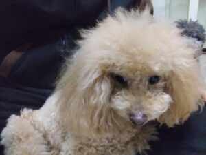 夜のお時間　2026/3/22