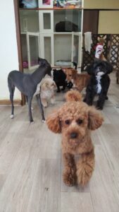 午前のお時間　2026/3/23