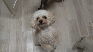 夜のお時間　2026/3/23