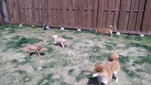 午前のお時間　2026/3/24