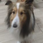 夜のお時間　2026/3/24