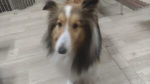 夜のお時間　2026/3/24