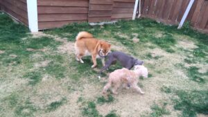 午前のお時間　2026/3/25