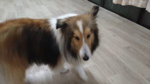 夜のお時間　2026/3/25