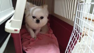 午前のお時間　2026/3/26