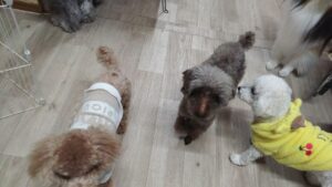 夜のお時間　2026/3/26