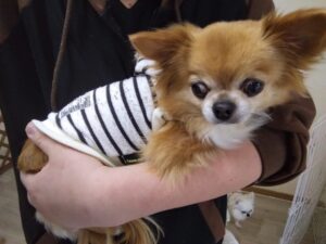 午前のお時間　2026/3/27