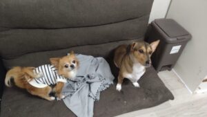 夜のお時間　2026/3/27