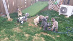 午前のお時間　2026/3/28