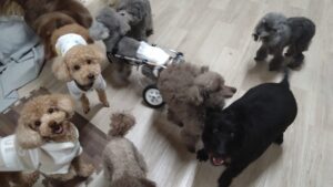 夜のお時間　2026/3/28