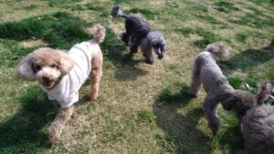 午前のお時間　2026/3/29