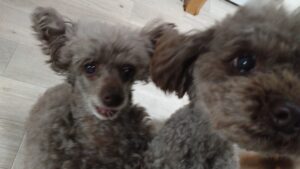 夜のお時間　2026/3/29