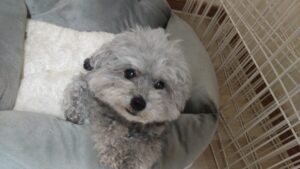 午前のお時間　2026/3/30