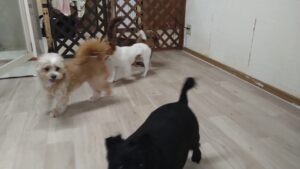 朝のお時間　2026/3/31