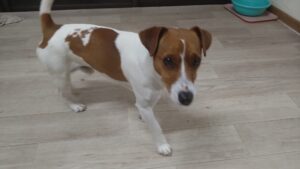 夜のお時間　2026/3/31