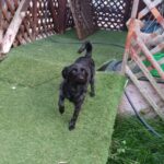 まだちょっとヒンヤリ