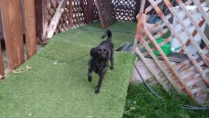 まだちょっとヒンヤリ