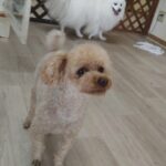 成田空港近郊のペットホテルセカンドファミリー　朝のお時間　4/20