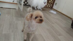 成田空港近郊のペットホテルセカンドファミリー　朝のお時間　4/20