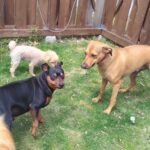 午前のお時間　2026/4/18