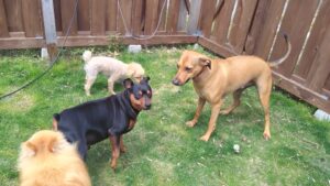 午前のお時間　2026/4/18