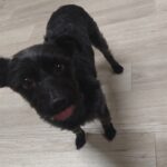 夜のお時間　2026/4/18