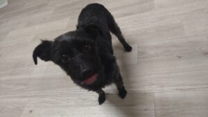 夜のお時間　2026/4/18