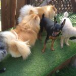 午前のお時間　2026/4/19