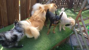 午前のお時間　2026/4/19