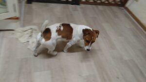 夜のお時間　2026/4/2