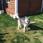 朝のお時間　2026/4/3