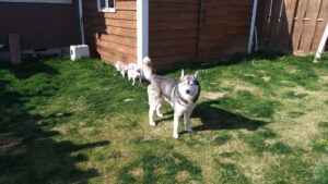 朝のお時間　2026/4/3