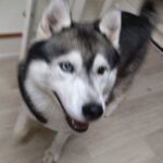 夜のお時間　2026/4/3