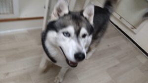 夜のお時間　2026/4/3