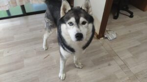 朝のお時間　2026/4/4