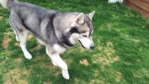 午前のお時間　2026/4/5