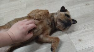 夜のお時間　2026/4/5