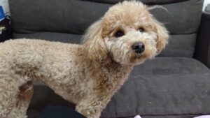 夜のお時間　2026/4/6