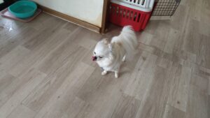 午前のお時間　2026/4/7