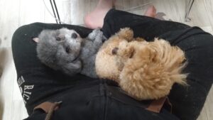 夜のお時間　2026/4/7